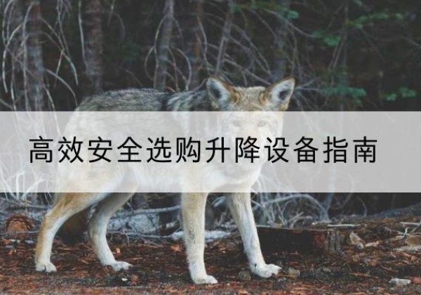 南丹升降货梯厂家推荐-*安全选购升降设备指南