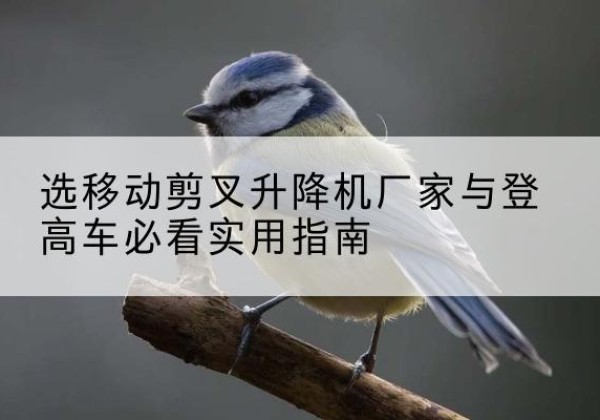 南丹电动升降机厂家-选移动剪叉升降机厂家与登高车必看实用指南