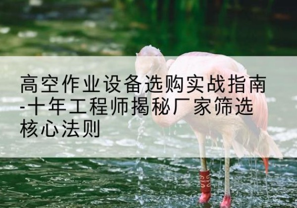南丹剪叉式升降机厂家-高空作业设备选购实战指南-十年工程师揭秘厂家筛选核心法则